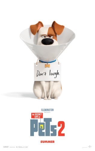 The Secret Life of Pets 2 (SMS)